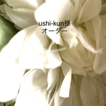 ushi-kun様のオーダー