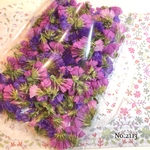 ♡new♡ ♡作家様必見♡ ♡スターチス　ドライフラワー♡