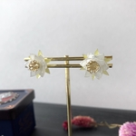 月下美人　葉　ピアス/イヤリング