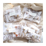 outlet happy bag  ｲﾔﾘﾝｸﾞ2点
