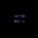専用ページ アーマーリング