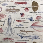深海魚好きさん向け給食ナフキン　深海魚（薄ベージュ）
