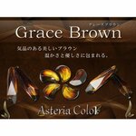 【グレースブラウン】アステリアカラー UVレジン・2液レジン用着色料 液体カラー