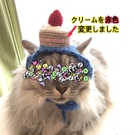 再販】男のコ.誕生日.バースデー.ケーキ.4月.ニット帽.猫.被り物.コスプレ.毛糸