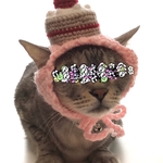 再販】女のコ.誕生日.バースデー.ケーキ.4月.ニット帽.猫.被り物.コスプレ.毛糸