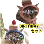 再販】誕生日セット.バースデー.ケーキ.4月.ニット帽.猫.被り物.コスプレ.毛糸