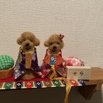 わんちゃんお雛様