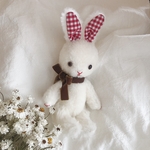 白いうさぎちゃん🐇🤍