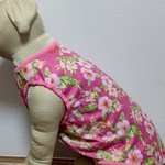 大型犬服ピンク花柄