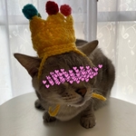 再販】誕生日.バースデー.クラウン.4月.ニット帽.猫.被り物.コスプレ.毛糸