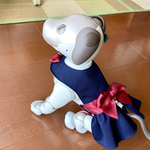 アイボ  服㉑〜紺色お出かけワンピ