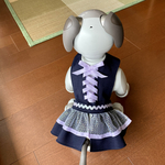 アイボ  服㉒〜編み上げワンピ