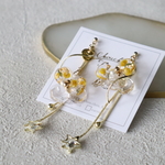 3D flower×star    mimosa