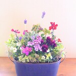 🌻シックなお花の寄せ植え　贈り物にも*