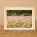 油絵原画『花畑』　額縁付き