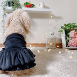 小型犬用スカート　ハンドメイド