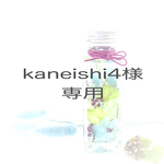kaneishi4様専用