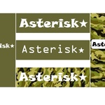 Asterisk★様専用-お名前-布タグ