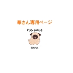 パグの華さん