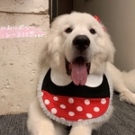 【K】様専用ページ💗お名前フルネーム入