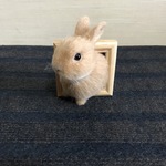 〜むぎゅっと出ちゃったうさぎさん〜 うさぎ 羊毛フェルト 壁飾り フレーム 壁掛け  ネザーランドドワーフ ミニうさぎ オレンジ
