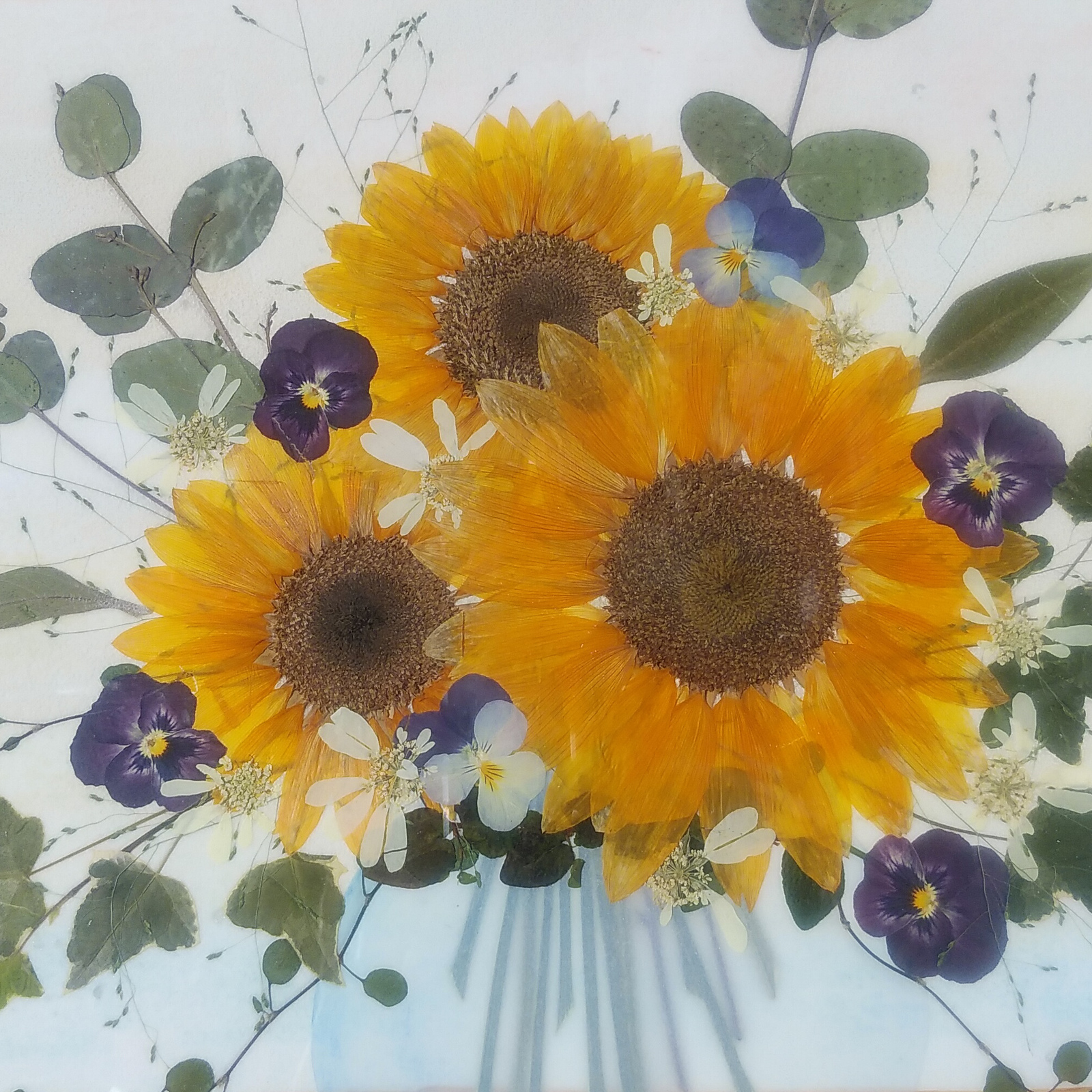 押し花アート ひまわり　さくらおまとめ 押し花専用額