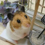 yomoliz24様専用ページ～ゴールデンハムスターのナチュラルガーデン