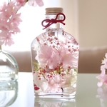 桜SAKURAハーバリウム