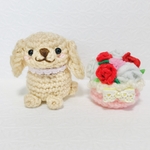 母の日 薔薇の花束とトイプードル 
