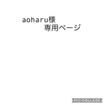 aoharu様専用ページ