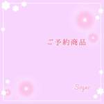 ＊l様御予約品＊がま口バッグ*チョコレート