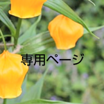 rlma さま専用  ご依頼品