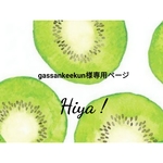 gassankeekun様専用ページ