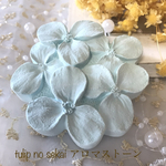 紫陽花　水色