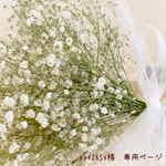 ＊ppt265s様　専用ページ＊