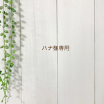 ハナ様専用