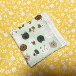 ＊Wガーゼ・タオルハンカチ　23㎝角＊　三毛猫　ミントグリーン