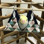 遊べるピタッとテント