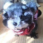 FF様専用ページ