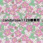 【candyrose1128様専用】リバティ　ペイザンヌ・ベッツィベリーシトラス　大きめ巾着　