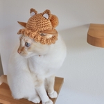 くまさんシッポ付き帽子