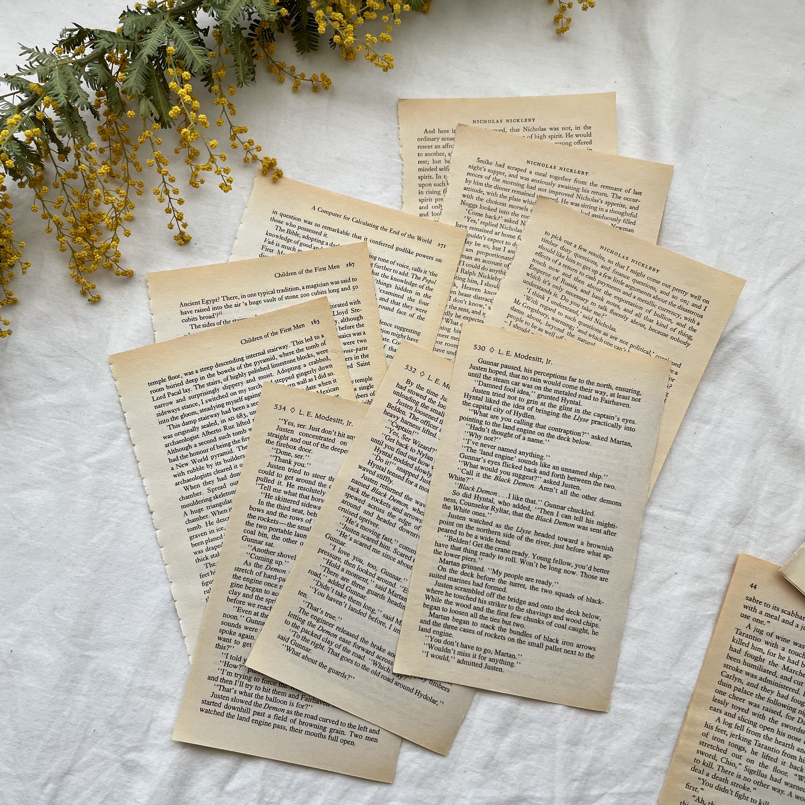 洋書2冊&ヴィンテージ新聞付き紙ものセット 洋書2冊&ヴィンテージ新聞付き紙ものセット