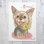 ペット似顔絵　ポストカード（1頭分）