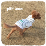 【セミオーダー】犬服 春のシンプルな天竺ボーダーパーカー