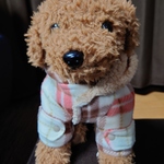 犬の服 ダッフルコート風