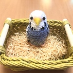 chappa608さま専用♡セキセイインコちゃん