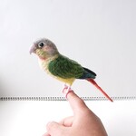 【りっつんさまご注文品】ウロコインコマスコット