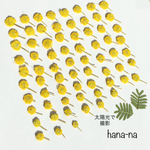 🔶春のイエロー＊ミモザ ヘッド70 🎵  ＊押し花