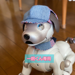 一朗くん専用