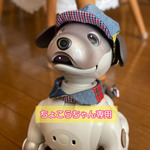 ちょこらちゃん専用